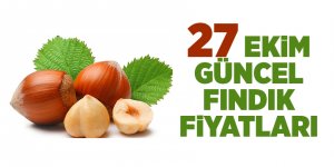 27 Ekim güncel fındık fiyatları - samsun haber