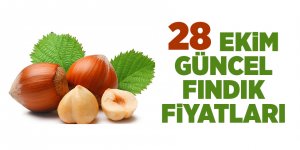 28 Ekim güncel fındık fiyatları - samsun haber
