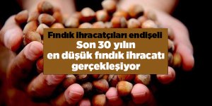 Fındık ihracatında düşüş yaşanıyor - samsun haber