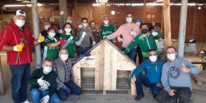 Samsun'da gönüllülerden sokak hayvanlarına kulübe - samsun haber