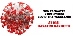 Türkiye'nin 10 Kasım Korona virüs tablosu - samsun haber