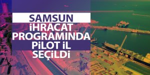 Bakanlıktan Samsun'daki firmalara ihracat desteği - samsun haber