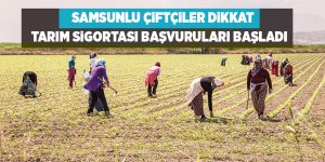 Tarım sigortası başvuruları başladı - samsun haber