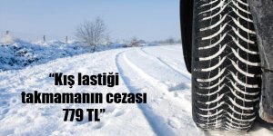 TŞOF Başkanı Apaydın: “Kış lastiği takmak için 1 Aralık’ı beklemeyin”