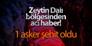 Zeytin Dalı bölgesinden acı haber! 1 asker şehit oldu - samsun haber