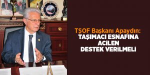 TŞOF Başkanı Apaydın: Taşımacı esnafına acilen destek verilmeli - samsun haber