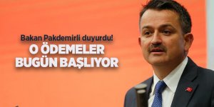 Bakan Pakdemirli duyurdu! O ödemeler bugün başlıyor - samsun haber
