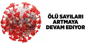 Türkiye'nin 14 Aralık Korona virüs tablosu - samsun haber