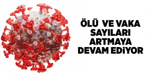 Türkiye'nin 15 Aralık  Korona virüs tablosu - samsun haber