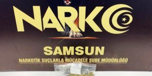 Samsun'a uyuşturucu getiren zehir taciri kıskıvrak yakalandı - samsun haber