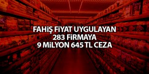 Fahiş fiyat uygulayan 283 firmaya 9 milyon 645 TL ceza - samsun haber