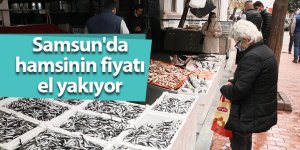 Samsun'da hamsinin fiyatı el yakıyor - samsun haber