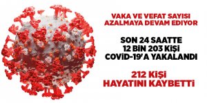 Türkiye'nin 1 Ocak Korona virüs tablosu - samsun haber