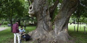 Tescil işlemi başlatıldı