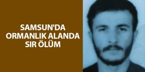 23 yaşındaki genç aracının içinde kafasından vuruldu - samsun haber