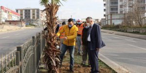 Bafra'nın çehresi güzelleşiyor - samsun haber