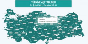 Samsun'da korona aşısı yapılan kişi sayısı 40 bini geçti - samsun haber