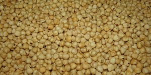 KFMİB Başkanı Edip Sevinç: 132 bin ton iç fındık ihraç edildi - samsun haber