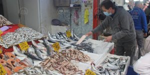 Samsun'da hamsi 20 liradan satılıyor - samsun haber