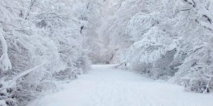 Meteorolojiden Samsun'a 3 kritik uyarısı - samsun haber
