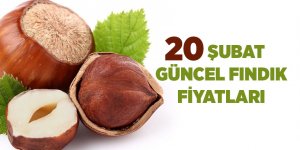 20 Şubat güncel fındık fiyatları - samsun haber