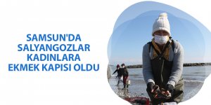 Samsun'da salyangozlar kadınlara ekmek kapısı oldu - samsun haber