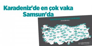 Karadeniz'de en çok vaka Samsun'da - samsun haber