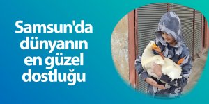 13 yaşındaki çocuk ve ördek birbirinden ayrılmıyor - samsun haber