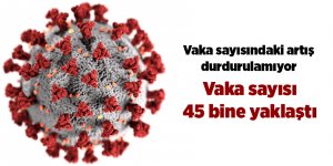 Türkiye'de son 24 saatte 186 kişi hayatını kaybetti - samsun haber