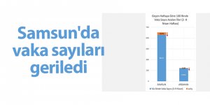 Samsun'da vaka sayıları geriledi - samsun haber