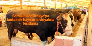 Samsun'dan Trakya'ya kurbanlık hayvan sevkiyatına kısıtlama - samsun haber