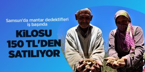 Samsun'da mantar dedektifleri iş başında - samsun haber