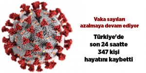 Türkiye'de son 24 saatte 347 kişi hayatını kaybetti - samsun haber