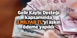 Gelir Kaybı Desteği  kapsamında 3 milyar TL’yi aşkın ödeme yapıldı - samsun haber