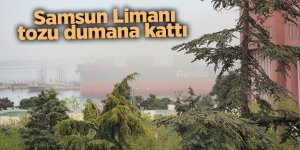 Samsun Limanı  tozu dumana kattı - samsun haber