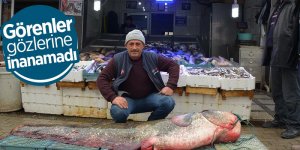 Amatör balıkçının ağına dev yayın balığı takıldı
