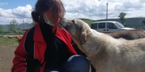 Bayramda can dostlarını unutmadılar - samsun haber