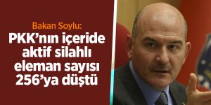 Bakan Soylu:  PKK’nın içeride aktif silahlı eleman sayısı 256’ya düştü - samsun haber