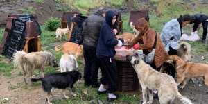 Samsun'da hayvanseverleri yağmur bile durduramadı - samsun haber