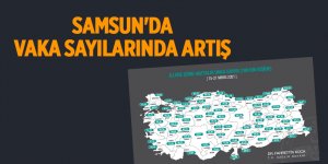 Samsun'da vaka sayılarında artış - samsun haber