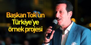 Başkan Tok'un Türkiye'ye örnek projesi