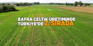 Bafra çeltik üretiminde Türkiye’de 2. sırada - samsun haber