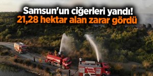 Samsun'un ciğerleri yandı! 21,28 hektar alan zarar gördü - samsun haber