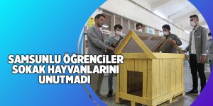 Samsunlu öğrenciler sokak hayvanlarını unutmadı - samsun haber