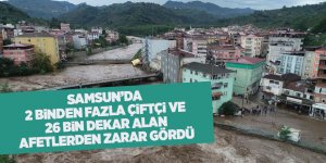 Samsun’da 2 binden fazla çiftçi ve 26 bin dekar alan afetlerden zarar gördü - samsun haber