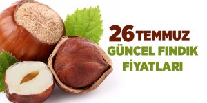 26 Temmuz güncel fındık fiyatları - samsun haber