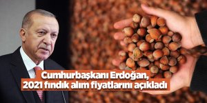 Cumhurbaşkanı Erdoğan, 2021 fındık alım fiyatlarını açıkladı - samsun haber