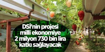DSİ'nin projesi milli ekonomiye  2 milyon 730 bin lira katkı sağlayacak