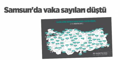 Samsun'da vaka sayıları düştü - samsun haber