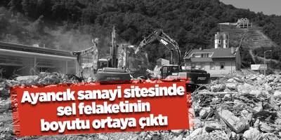 Ayancık sanayi sitesinde sel felaketinin  boyutu ortaya çıktı